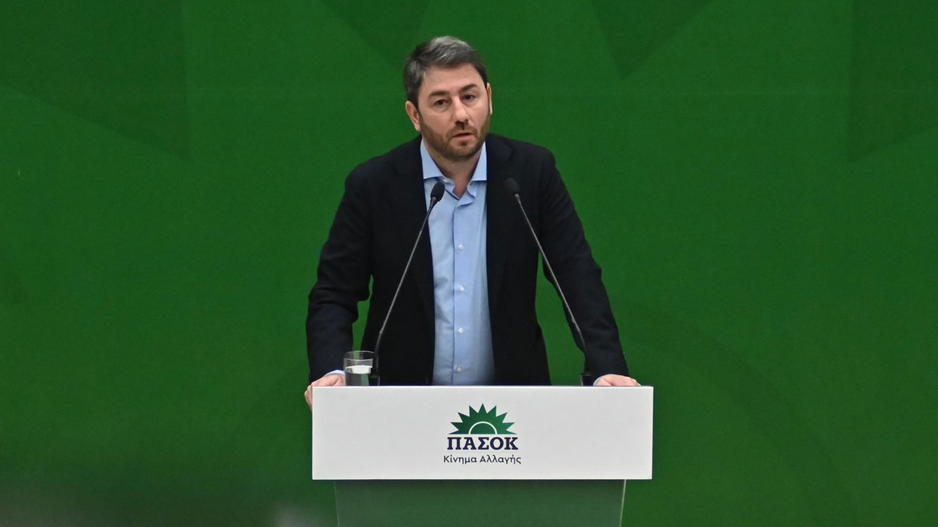 Νίκος Ανδρουλάκης: Όταν είμαστε ενωμένοι μπορούμε να πετύχουμε τα πάντα και όταν διχαστούμε μπορούμε να τα χάσουμε όλα