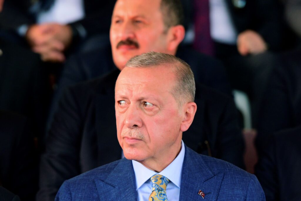 AP Photo/Nedim Enginsoy)