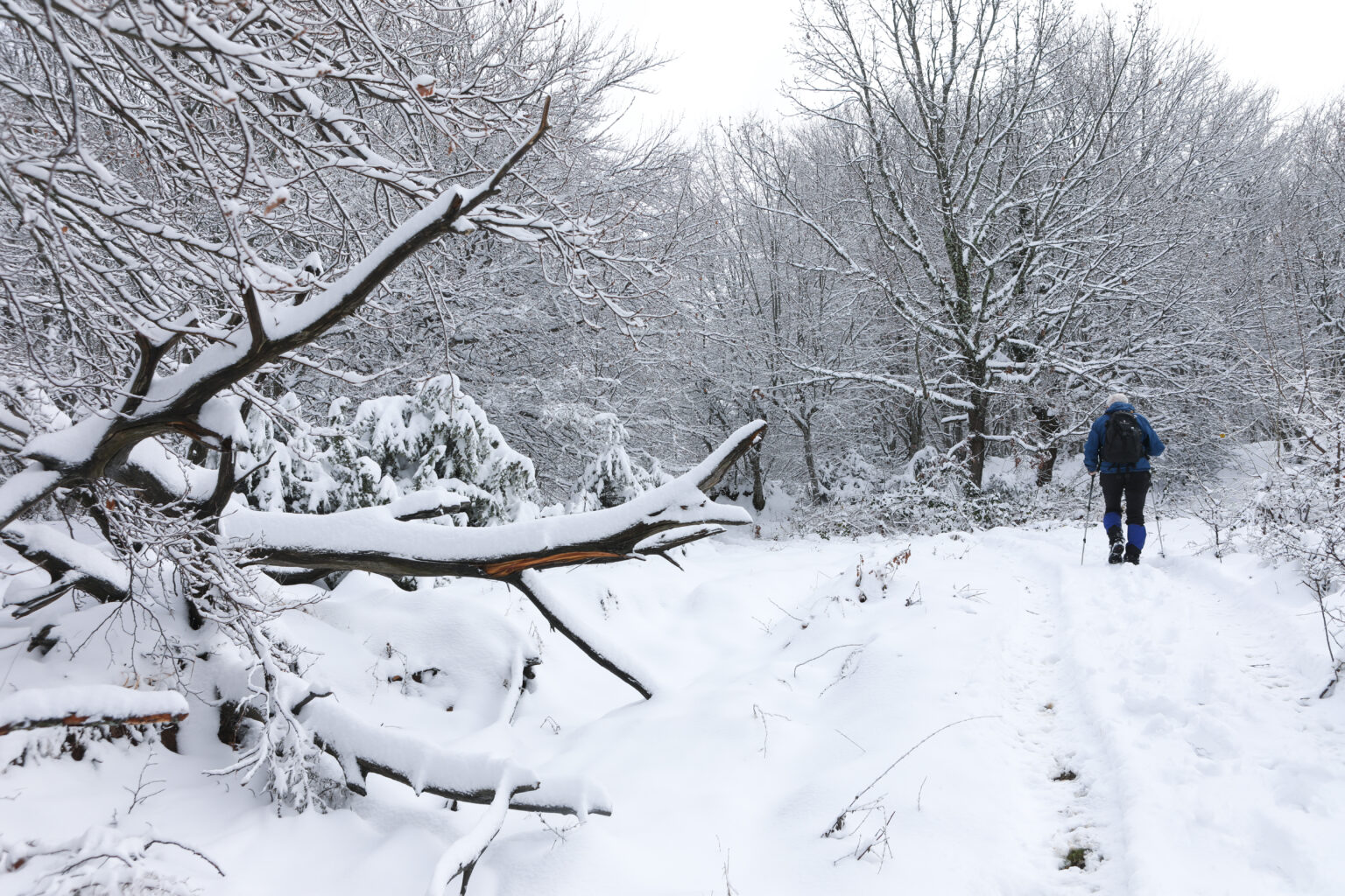 Ελλάδα υπό το μηδέν: -7,9 °C στο Σέλι