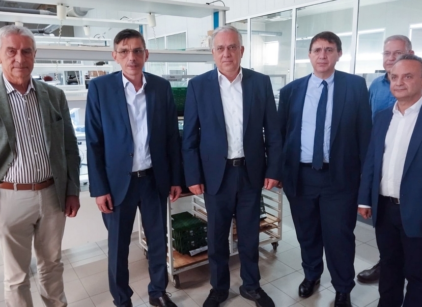 Θεοδωρικάκος, Αλεξανδρούπολης