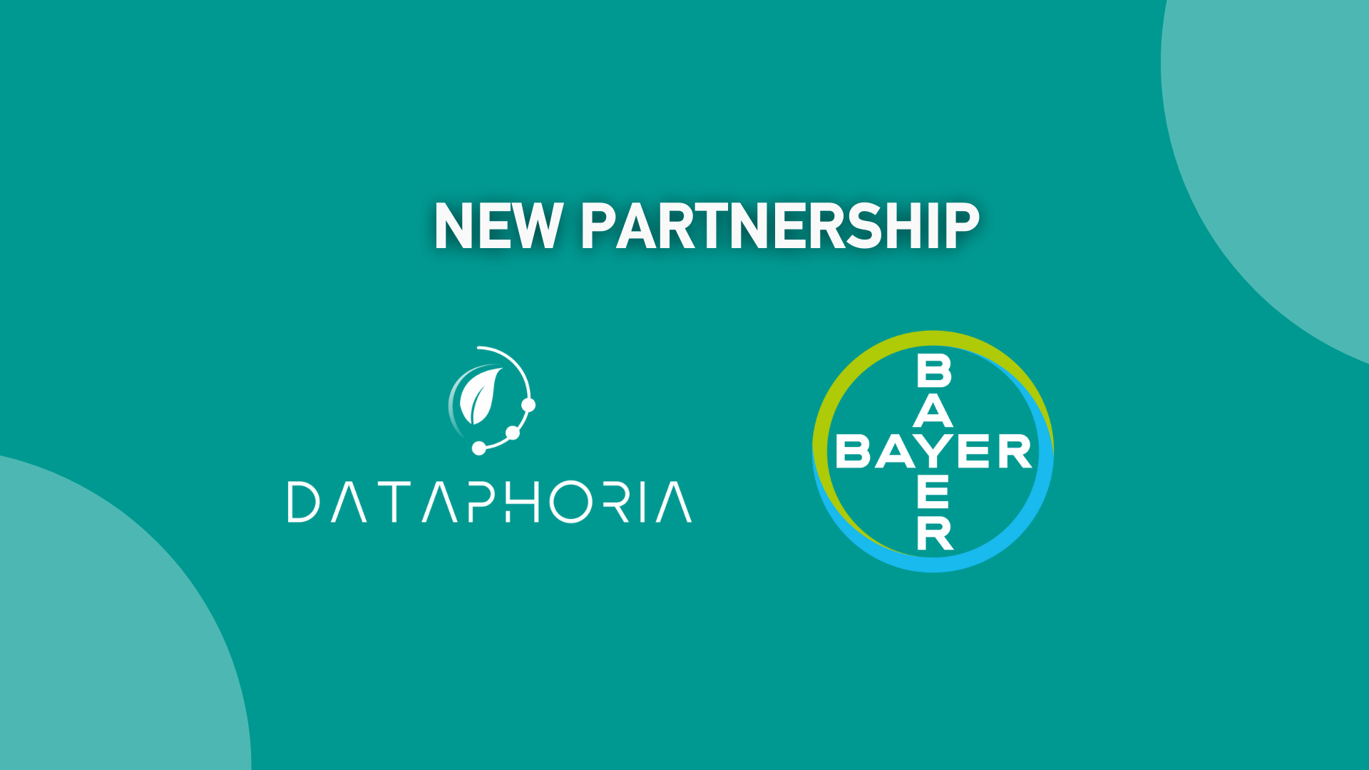 Bayer Ελλάς - Dataphoria: Συνεργασία με Επίκεντρο τη Βιωσιμότητα μέσω ESG Analytics