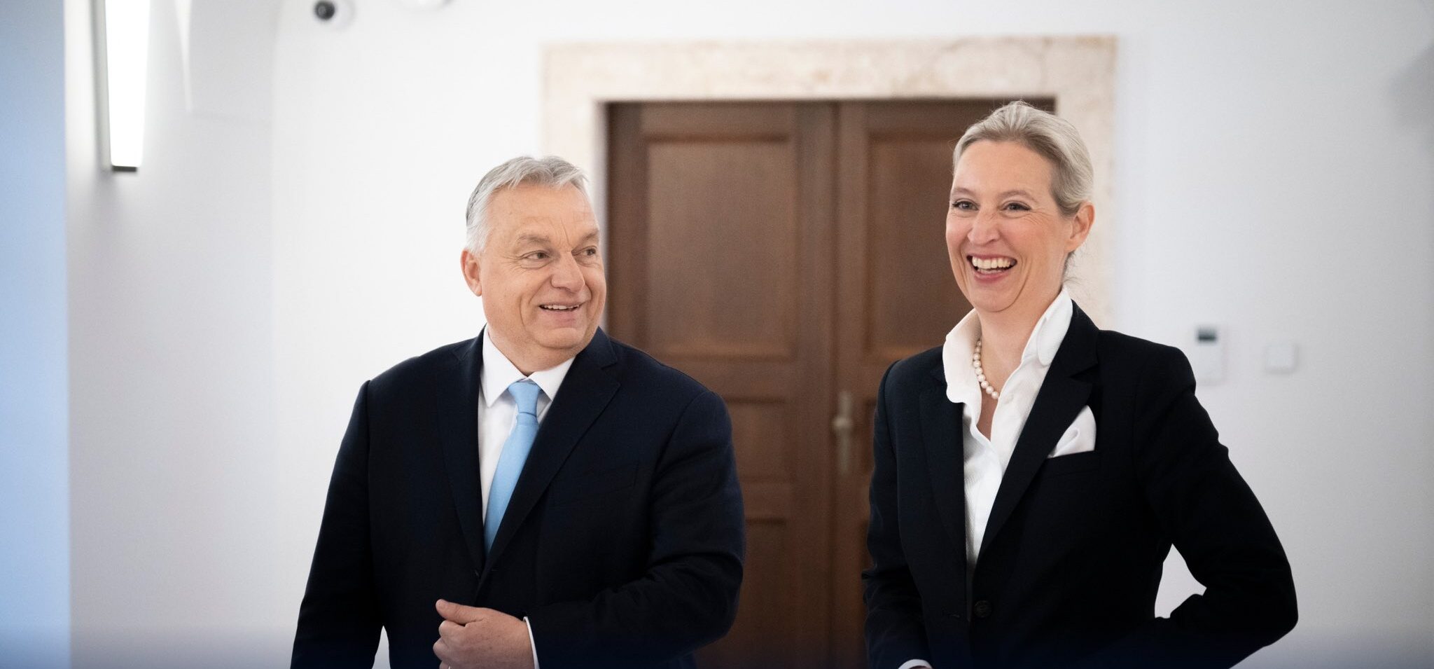 Στηρίζει επίσημα το AfD o Βίκτορ Όρμπαν