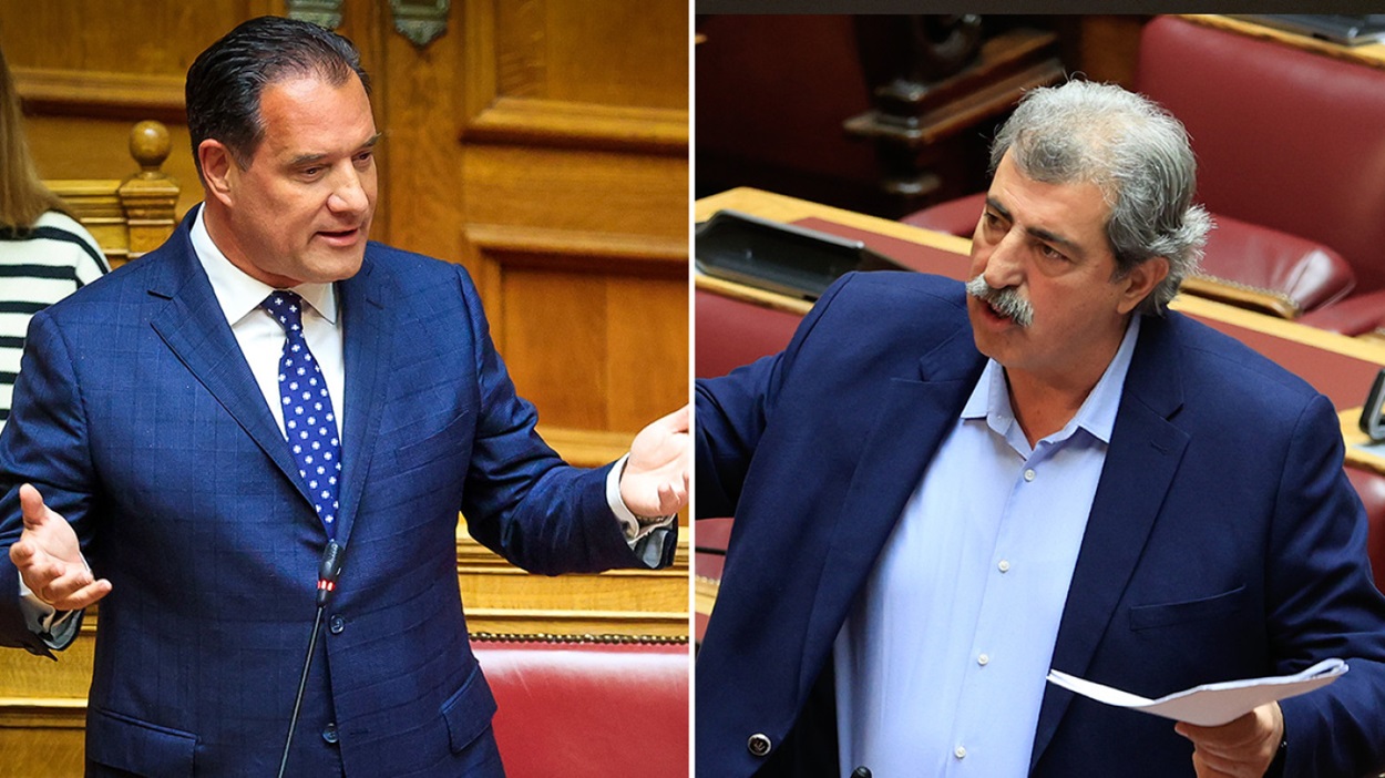 αδωνις πολακης