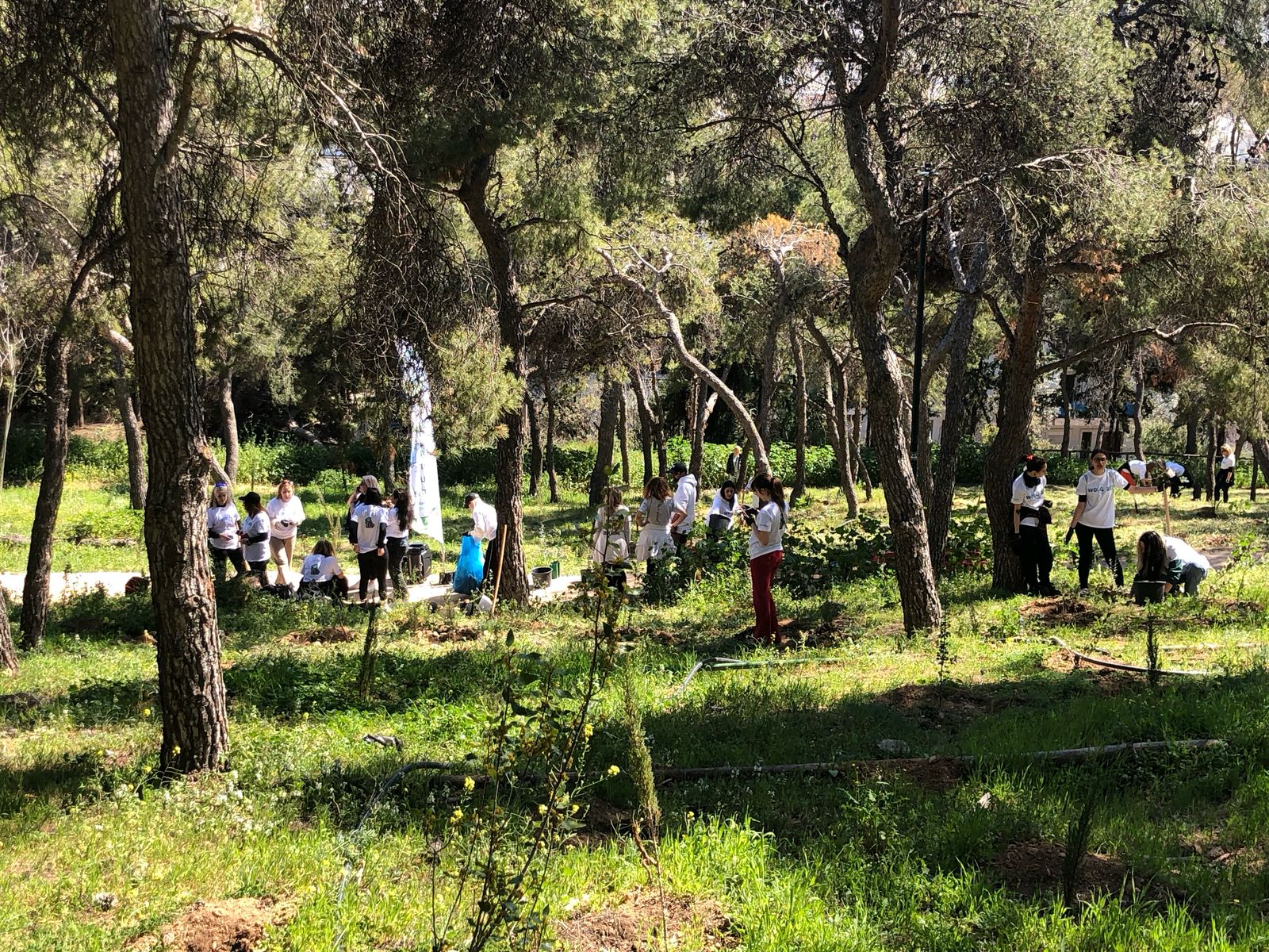 Δενδροφυτεύσεις σε Λυκαβηττό και λόφο Στρέφη από τον Δήμο Αθηναίων
